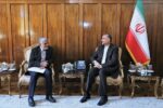 دیدار سفیر جدید ایران در سازمان ملل با امیرعبداللهیان