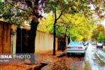 بارش برف و باران در ۱۹ استان/ هشدار اختلال در سفرهای بین شهری