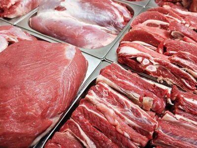 ۱۰ هزار تن گوشت منجمد وارد بنادر شد/ چالش‌های واردات گوشت گرم