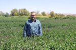 جهاد کشاورزی پیگیر آبیاری نامتعارف مزارع تبریز است