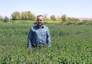 جهاد کشاورزی پیگیر آبیاری نامتعارف مزارع تبریز است