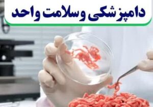 دامپزشکی و نوآوری‌های آینده ، دروازه‌ای به عصر هوش و سلامت واحد