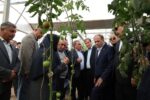 بازدید وزیر جهاد کشاورزی از پروژههای گلخانهای در حال احداث هریس / تأکید بر توسعه کشت گلخانهای برای افزایش بهرهوری آب و تولید پایدار