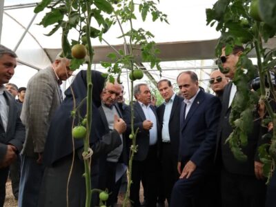 بازدید وزیر جهاد کشاورزی از پروژههای گلخانهای در حال احداث هریس / تأکید بر توسعه کشت گلخانهای برای افزایش بهرهوری آب و تولید پایدار