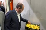 سردخانه پاریماگل اهر به ظرفیت ۳ هزارتن با حضور وزیر جهاد کشاورزی افتتاح شد