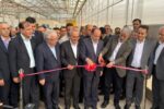 گلخانه مدرن ۱۰ هکتاری کشت و صنعت آذربایجان خاوری در شبستر با حضور وزیر جهاد کشاورزی افتتاح شد