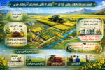 کشت دانه های روغنی کلزا در ۳۰۰۰ هکتار از اراضی کشاورزی آذربایجان شرقی